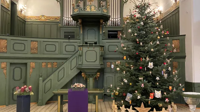 Christbaum 2021 "Eule" (Foto: Oliver Niebuhr) Christbaum 2021 "Eule" (Foto: Oliver Niebuhr)