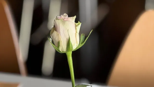 Senioren (Foto: Anita Frehner) Senioren (Foto: Anita Frehner)