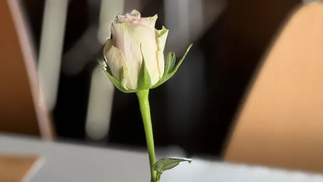 Senioren (Foto: Anita Frehner) Senioren (Foto: Anita Frehner)