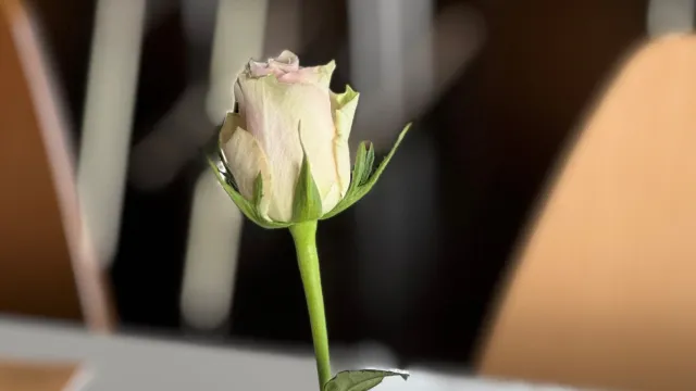 Senioren (Foto: Anita Frehner) Senioren (Foto: Anita Frehner)