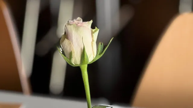 Senioren (Foto: Anita Frehner) Senioren (Foto: Anita Frehner)