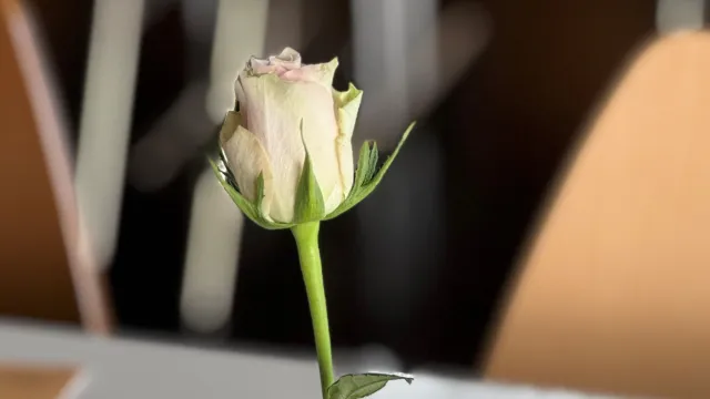 Senioren (Foto: Anita Frehner) Senioren (Foto: Anita Frehner)