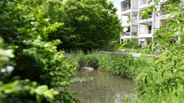 VitaTertia am Weiher (Foto: VitaTertia) VitaTertia am Weiher (Foto: VitaTertia)